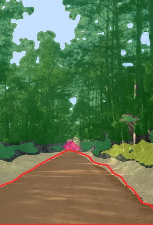 The camera view with the ground classified: road, sand, grass